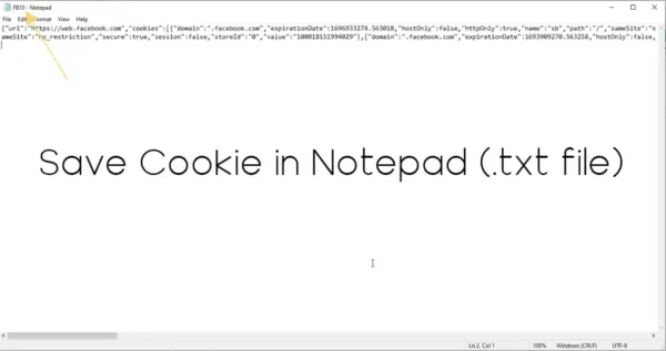 how to save cookie in Notepad